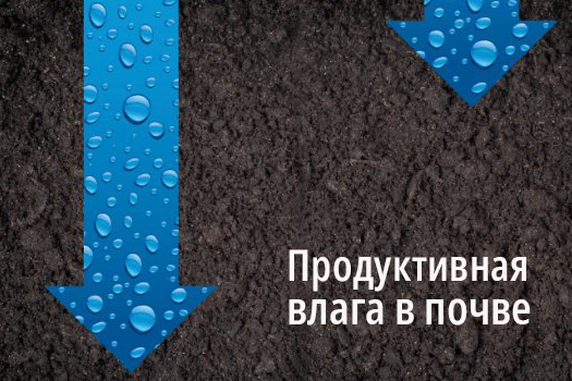 Продуктивная почвенная влага: от чего зависит и как влияет на урожай