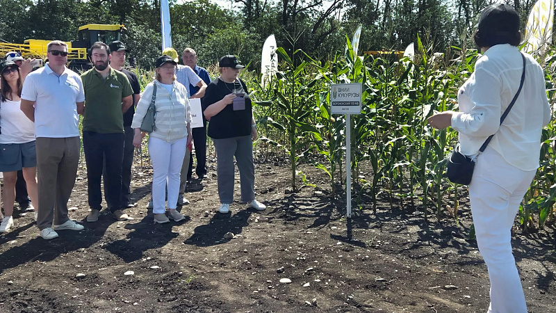В Предгорном округе обсудили перспективы отечественной селекции кукурузы