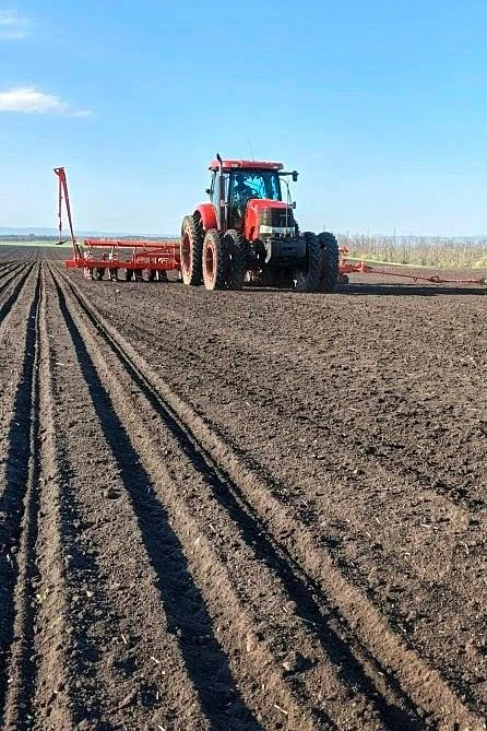 Россельхозцентр помогает аграриям Кочубеевского округа защитить урожай