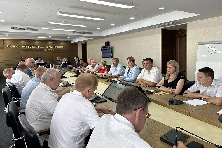 Россельхозцентр доложил о фитосанитарной обстановке на Ставрополье
