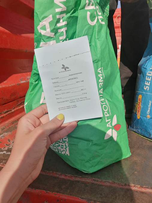 Демо-посевы гибридов кукурузы и подсолнечника заложены в Красногвардейском районе