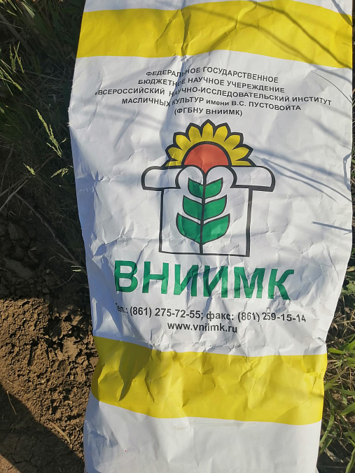 Демо-посевы гибридов кукурузы и подсолнечника заложены в Красногвардейском районе