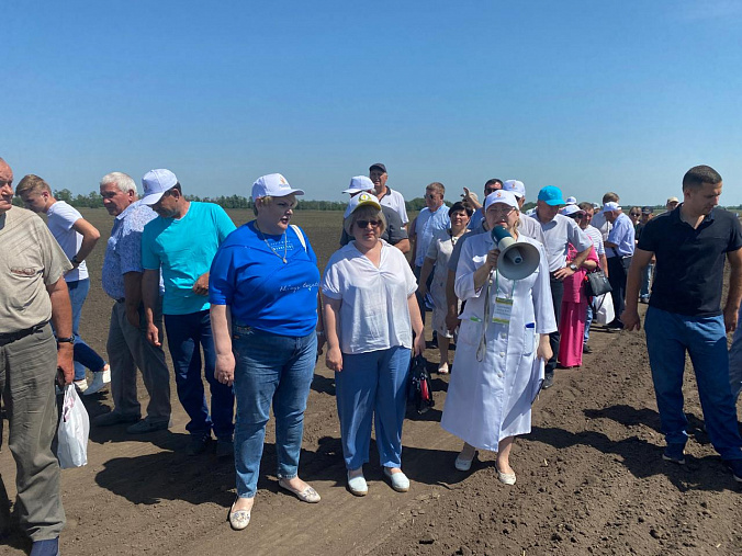 Отечественная селекция на подъеме, дело за агрономами